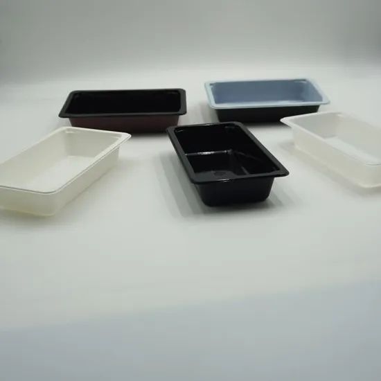 Disposable Food Grade Plastic Pet Container Fresh Tray - Image 6