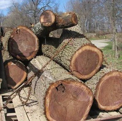 Spruce Wood (Picea abies) Origin South Africa Grade Export / Industrial Grade Max Moisture ≤ 12% (kiln-dried) Color Pale Yellow To Creamy White - Image 1