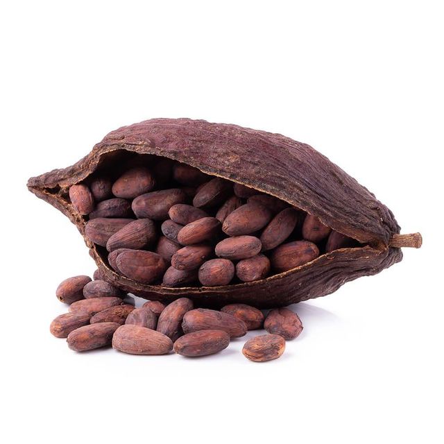 Organic Cocoa Bean With Exceptional Color And Rich Chocolate Aroma For Bulk Manufacturing - Image 3