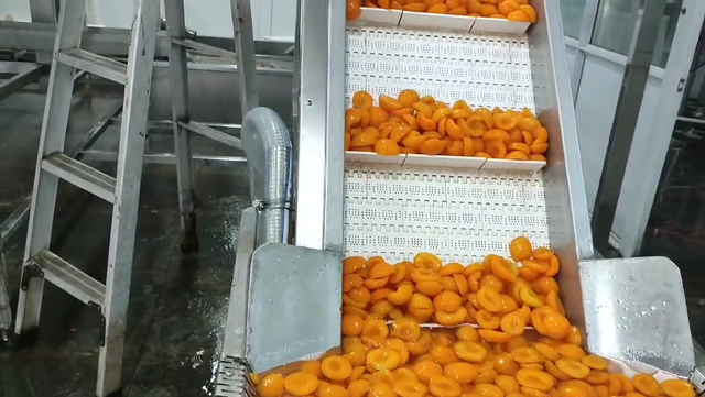 Hot Selling Cheap Fresh Canned Apricot Halves In Cans Slight Syrup - Image 6