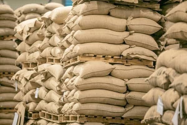 ROBUSTA COFFEE GRADE AA, AB - Image 2