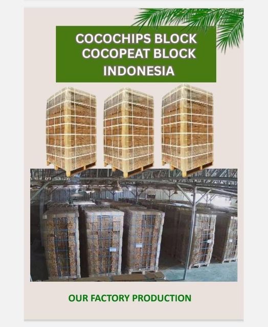 COCOCHIPS BLOCK - Image 2