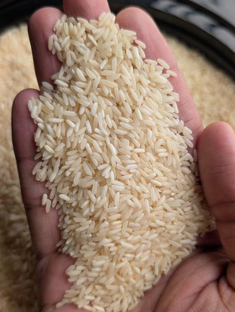Organic Sona Masoori Rice - Premium quality - Image 4