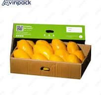 fresh Mango Keitt - Image 1