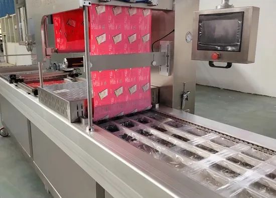 Multi-Function Automatic Stretch Film Vacuum Packing Machine for Food - Image 4
