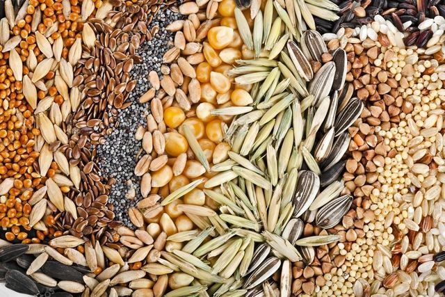 Grains, Oilseeds, Oils - Image 1