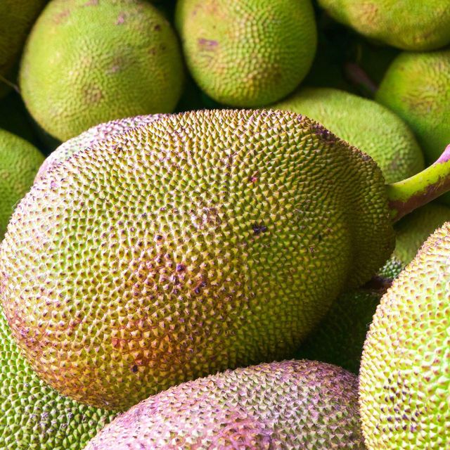 High quality products agriculture Fresh Fruit Jackfruit Delicious Sweet Taste Tropical Fruit From Vietnam - Image 5