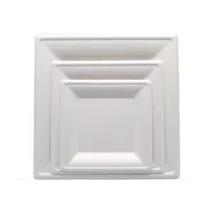 Disposable Sugarcane Bagasse Food Box 100% Compostable Pulp Biodegradable Cutlery Takeaway Tableware - Image 1