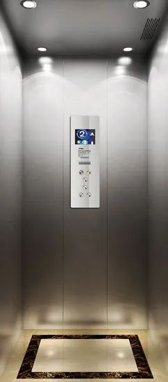 Syney Promotion High Quality Compact Structure Villa Elevator for Existed Constructions - Image 6