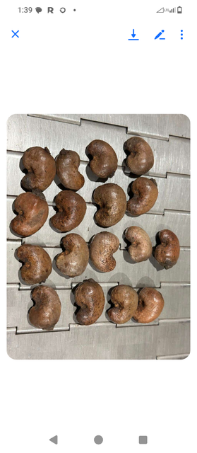 Raw Cashews ashew nut - Image 1
