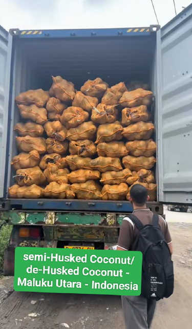 Semi-husked Coconut – product photo 4, product detail gallery