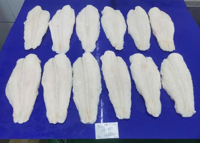 Pangasius Fillet Frozen - Image 3