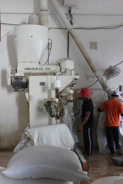 WHEAT FLOUR FOR ALL PURPOSE Quality A,B Manufacturer VNFLOUR CO. - Image 3