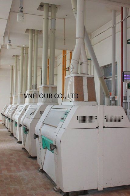 WHEAT FLOUR FOR ALL PURPOSE Quality A,B Manufacturer VNFLOUR CO. - Image 2