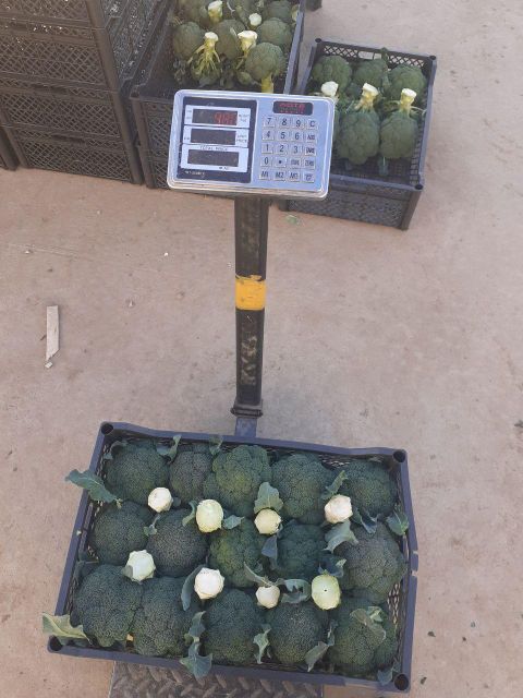 broccoli vegetables - Image 4