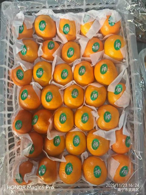 Fresh mandarins Size Range 55-70mm Net Weight 9kgs / Box Packaging Plastic Box Gross Weight 9.3kgs / Box Minimum Order Quantity 3,000 Boxes - Image 1