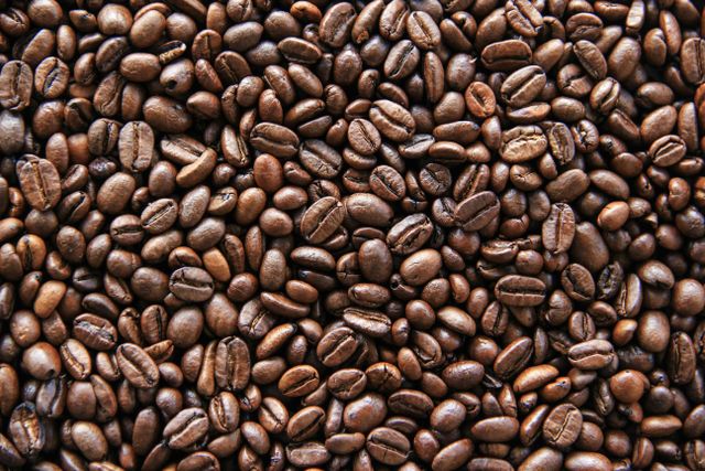Roasted Coffee Bean Organic Yes Decaffeinated No Bean Type Arabica, Robusta - Image 3