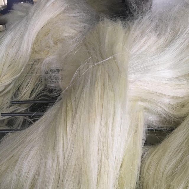 Natural Raw Sisal Fiber (Sisal Fibre) Flame Retardant for Concrete & Spinning Use UG Grade - Image 4