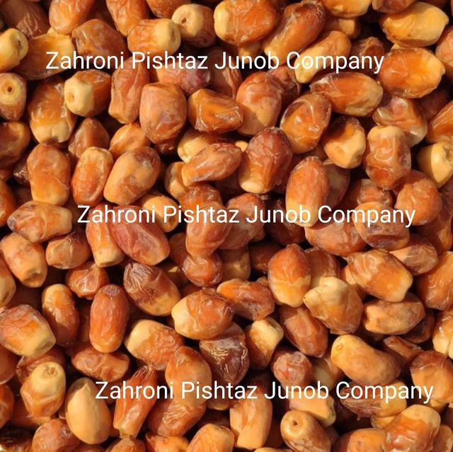 Zahdy and kabkab – product photo 1, product detail gallery