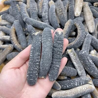 Dried Sea Cucumber Type TT Form Dried Packaging Bag Brand Viet Delta Grade AA, Top Grade Feature Nutritious, Nature Shelf Life 2 YEARS, 2 Years - Image 2