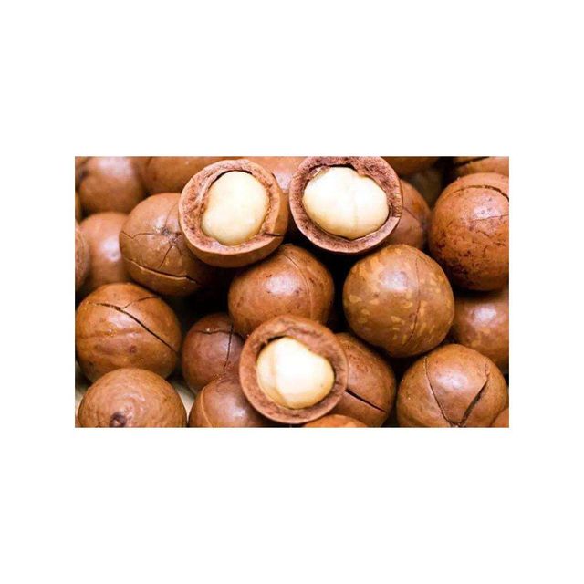 Fast delivery Macadamia nuts bulk supply wholesale premium fresh stock - Image 3