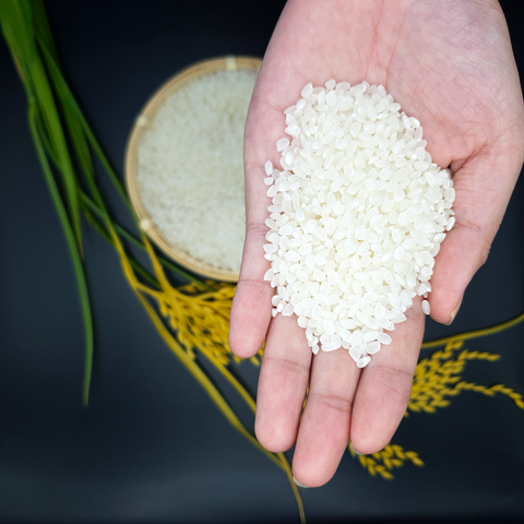 Quality White Long Grain Bamsati  – product photo 3, product detail gallery