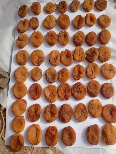 Dry Apricots – product photo 4, product detail gallery