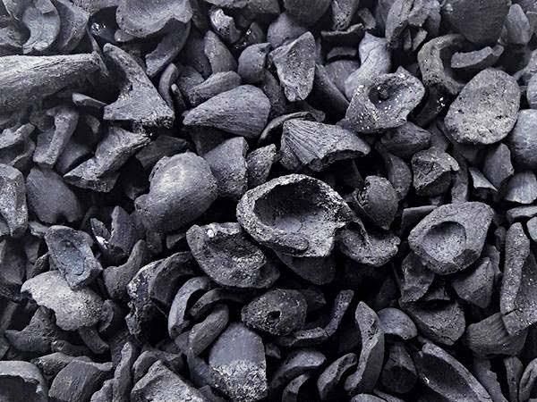 Carbonised kernel shell - Image 1