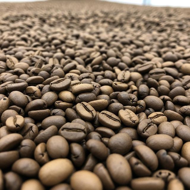 Bulk Organic Coffee Sale High Flavor Natural Organic Coffee Beans With Rich Aroma And Smooth Taste - Image 3