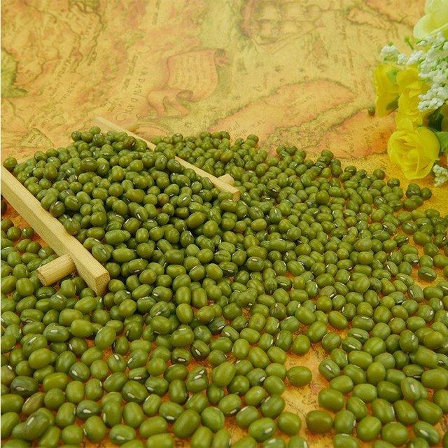 Green Gram Vigna Green Beans Mung Beans Green Moong - Image 5