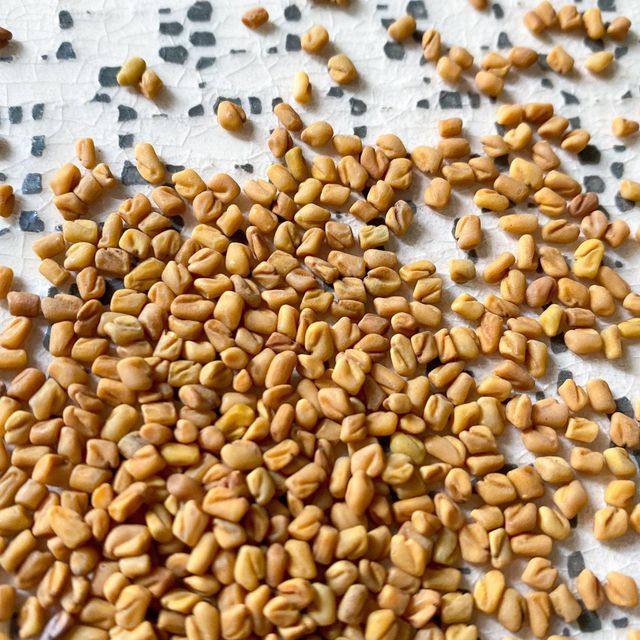 Fenugreek Seeds Professionally Cleaned And Sorted For Natural Formulations Food Ingredients And Bulk Shipments - Image 1