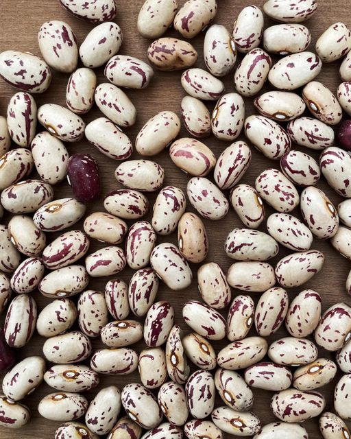 Natural Cranberry Beans Rich Protein Dried Beans For Food Use And Cooking Buy Fast Delivery Premium Quality Wholesale Naturally Ideal For Bulk Orders And Daily Kitchen Needs - Image 3