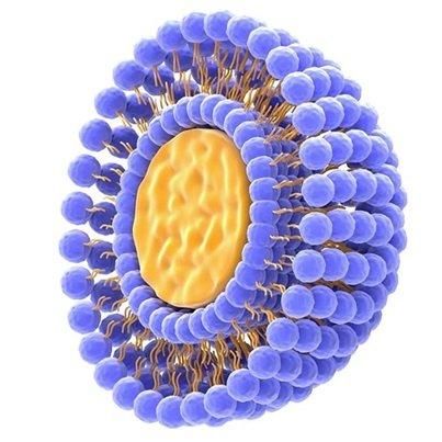 Liposomal Iron (for Supplements) Technology Liposomal Ingredients Liposomal Ingredients Manufacturing Location Netherlands - Image 2
