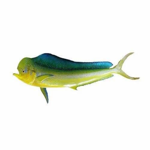 Frozen Mahi Mahi Fish 100% Natural Frozen Seafood With Controlled Processing And Quality Focused Packing - Image 4