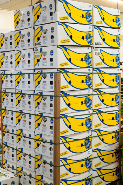 TOP RATED DOLE PREMIUM FRESH BANANAS NATURALLY SWEET AND CREAMY TEXTURE 13Kg CAVENDISH BANANAS EXPORT QUALITY - Image 3