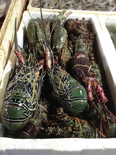Frozen Whole Lobster Carefully Processed For Fresh Taste Long Shelf Life And Reliable Wholesale Seafood Supply - Image 4