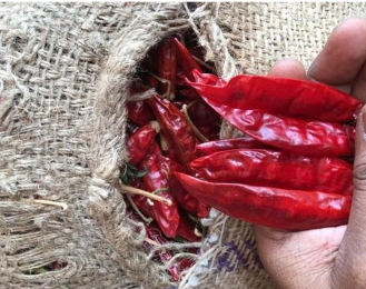 RED CHILLI TEJA S17, S4, S9, BYADGI, 334 - Image 1