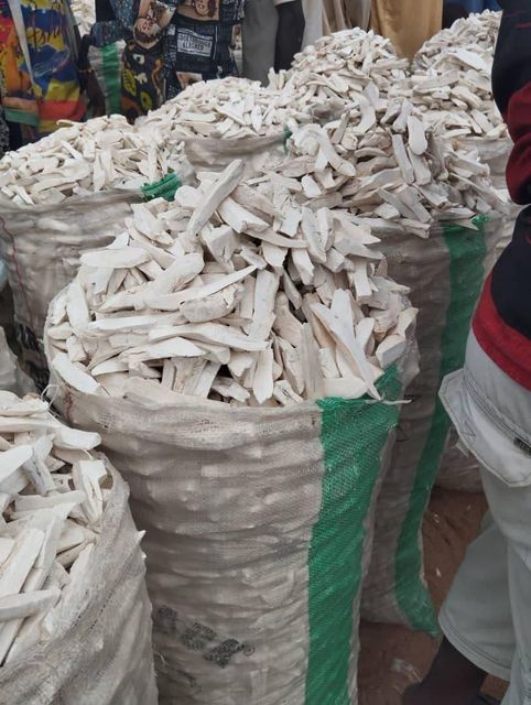 Fresh Cassava - Image 3