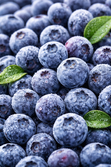 IQF Cultivated Blueberries Class I – 10kg / 25kg - Image 1