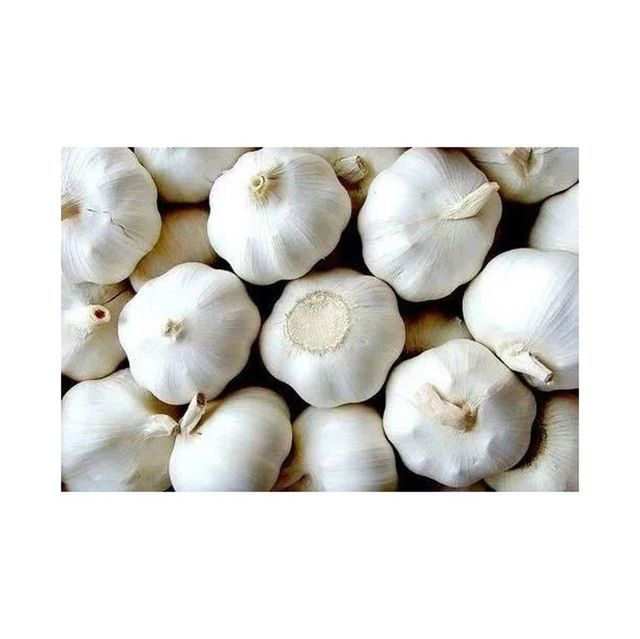 Cheap price white Fresh Garlic with uniform size and premium quality - Image 3