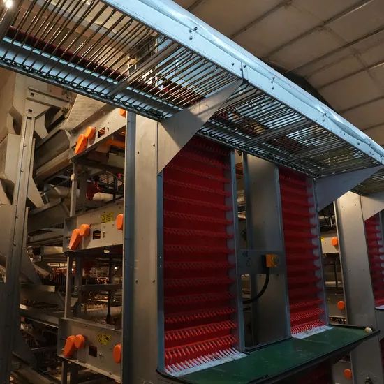 Automatic Layer Battery Cages for Poultry Farming Reliable Manufacturer - Image 5