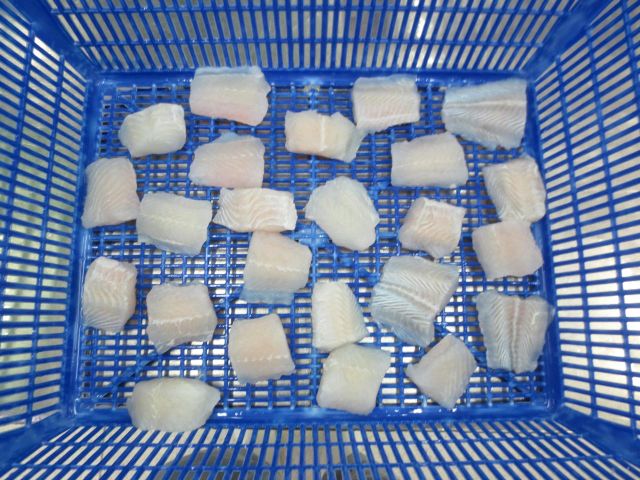 Pangasius Portion - Image 3