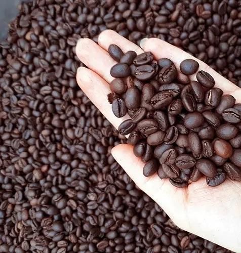 Pure Roasted Arabica & Robusta Organic Coffee Wholesale Supply Best Quality for Export Orders - Image 3