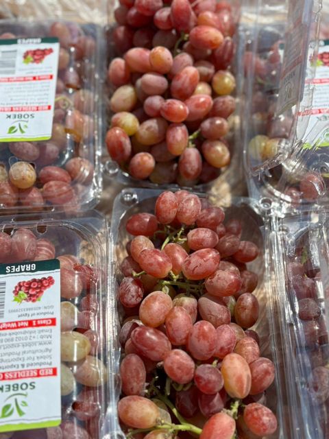 Grapes Origin Egypt Farm Badrawy Farms - Image 2