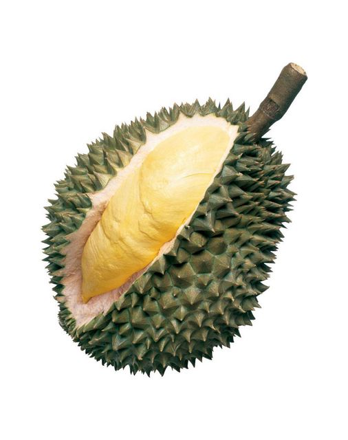 Seed Durian Fruit Export Grade Pack 500g Sweet Fresh Durians from Thailand Fresh Durian Fruit for sale Small - Image 5