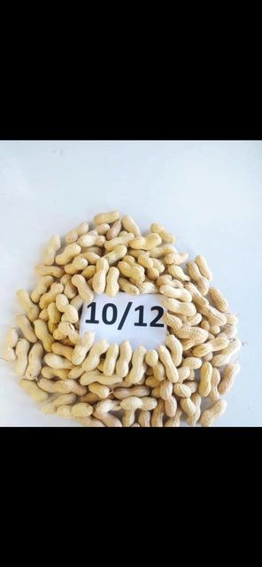 Peanuts in shell or blanched - Image 1