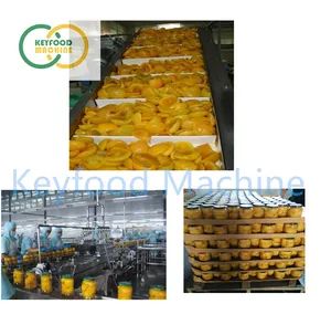 Automatic Canned Yellow Peach Orange Fruit Production Line - Image 5