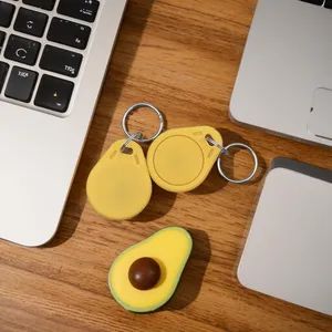 Tri-Color Uid/Cuid Blank-Chip Keychain Cards, Write-Supported, Factory Wholesale. - Image 6