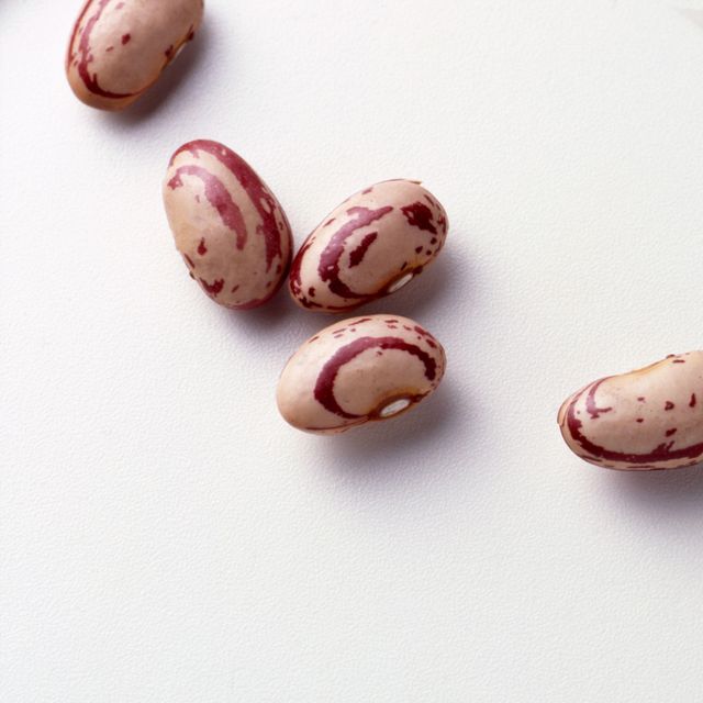 White Kidney Beans High Quality Pulses For Wholesale Buyers Featuring Uniform Color And Thorough Quality Inspection - Image 5