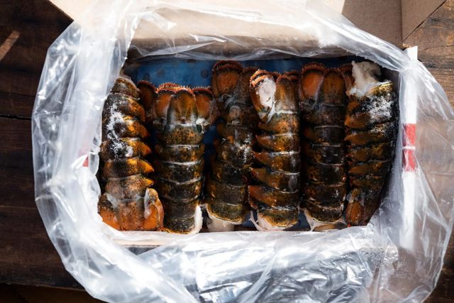 Finest Frozen Lobster Tail Gourmet Seafood Premium Ocean Freshness Ideal For Grilling Steaming Baking And Special - Image 4